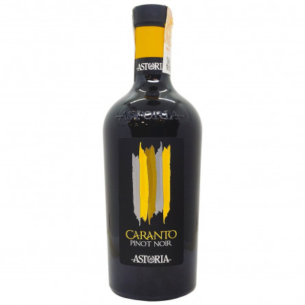 Вино Astoria Caranto Pinot Noir червоне сухе 11,5% 0,75л slide 1