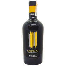 Вино Astoria Caranto Pinot Noir червоне сухе 11,5% 0,75л mini slide 1
