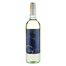 Вино Galassia Garganega Pinot Grigio біле сухе 12.5% 0.75л mini slide 1