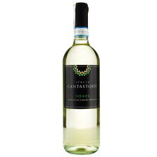 Вино Cantastorie Pinot Soave біле сухе 12% 0,75л mini slide 1
