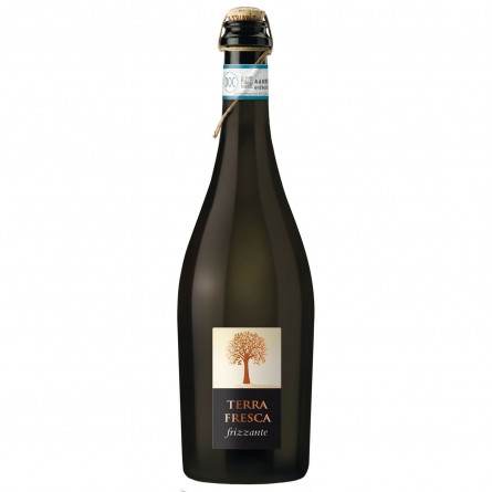 Вино игристое Terra Serena Fresca Spago Frizzante белое сухое 8,5% 0,75л