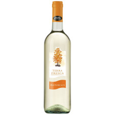 Вино Terra Fresca Bianco біле напівсолодке 10,5% 0,75л mini slide 1
