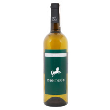 Вино Monterio біле сухе 12% 0,75л mini slide 1