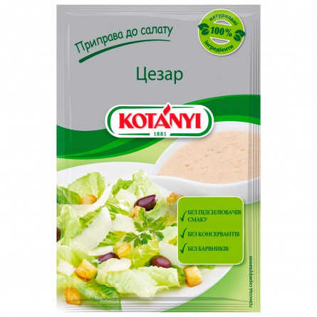 Приправа Kotanyi к салату Цезарь 13г slide 1
