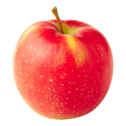 Яблуко Джонаголд slide 1