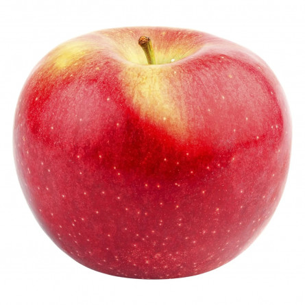 Яблуко Флоріна slide 1