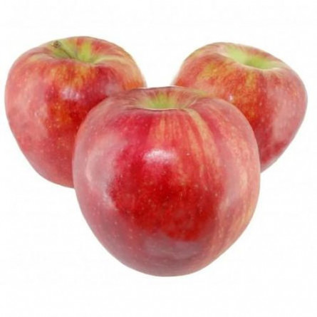 Яблуко Ред Принц slide 1