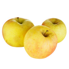Яблуко Гала Дністровські сади mini slide 1