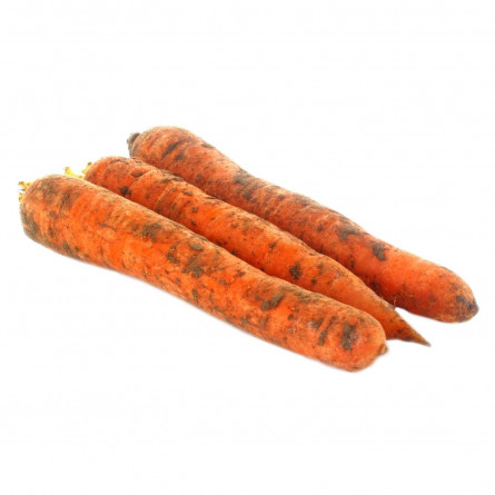 Морква slide 1