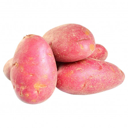 Картофель розовый slide 1