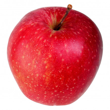Яблуко Джонапринц