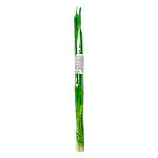 Лук зеленый свежий фасованный 40г mini slide 1