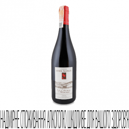 Вино Patrick Baudouin Anjou Rg Les Coteaux D’Ardenay 2015