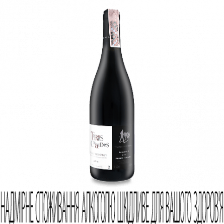 Вино Domaine des Roches Neuves Terres Chaudes Saumur-Champigny 2016 slide 1