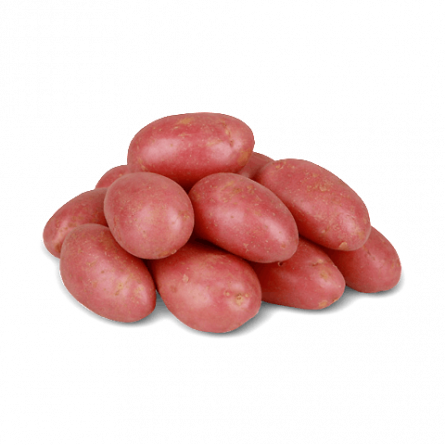 Картопля рожева молода slide 1