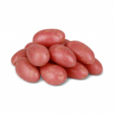 Картопля рожева молода mini slide 1