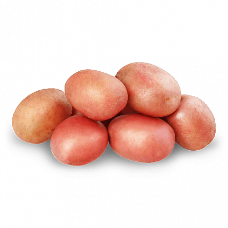 Картопля рожева мита