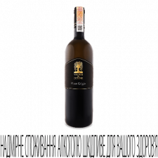 Вино Vignai da Duline Ronco Pitotti Pinot Grigio 2019 mini slide 1