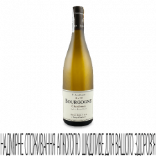Вино Rene Bouvier Bourgogne Chardonnay Blanc 2019 mini slide 1