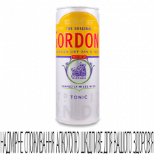 Напій слабоалкогольний Gordon's Gin&amp;Tonic з/б mini slide 1