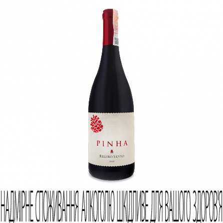 Вино Ribeiro Santo Pinha red dry slide 1