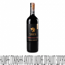 Вино Santa Carolina Carmenere/Petit Verdot mini slide 1