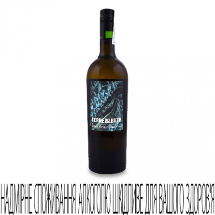 Вино Terre dei Buth Pinot Grigio slide 1
