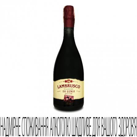 Вино ігристе Riunite Lambrusco Rosso Kosher Emilia slide 1