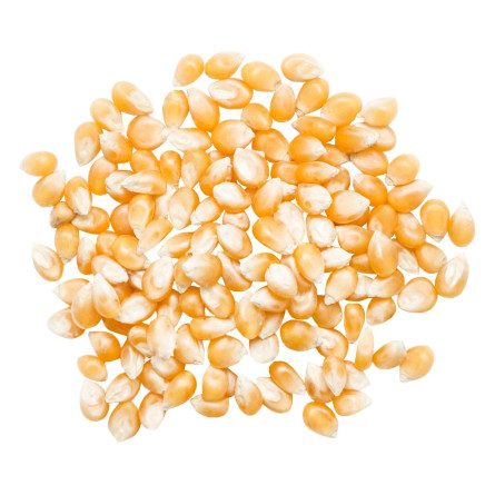 Кукуруза для попкорна slide 1