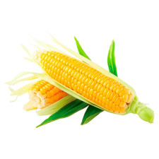 Кукуруза сладкая кочаны, шт mini slide 1