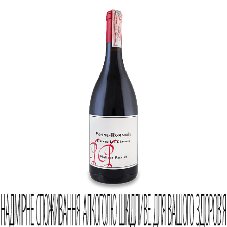 Вино Philippe Pacalet Vosne Romanee 1er Cru Les Chaumes 2016 slide 1