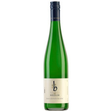 Вино Biegler Sauvignon Blanc 2020 біле сухе 0.75 л 13.5% mini slide 1