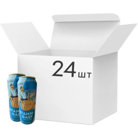 Упаковка пива Stammgast Hefeweissbier світле нефільтроване 5% 0.5 л х 24 шт