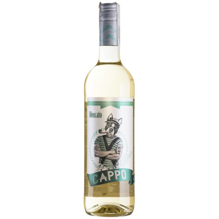 Вино Cappo Moscato J.Garcia Carrion белое сухое 0.75 л 12.5% slide 1
