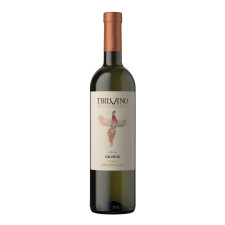 Вино Tbilvino Сачино белое полусухое 0.75 л 11% mini slide 1