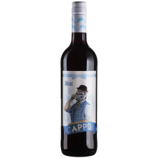 Вино Cappo Shiraz J.Garcia Carrion червоне сухе 0.75 л 11.5% mini slide 1