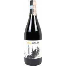 Вино Colle Cavalieri Montepulciano d'Abruzzo DOP червоне сухе 0.75 л 13% mini slide 1