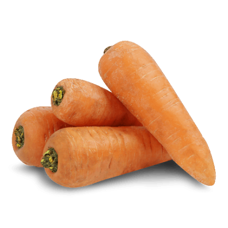 Морква slide 1