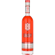 Настоянка Ukrainian Spirit Клюква 38% 0.7 л mini slide 1