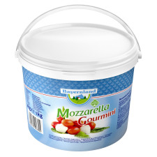 Сир Gourmini Bayernland Моцарелла 45% 1кг mini slide 1