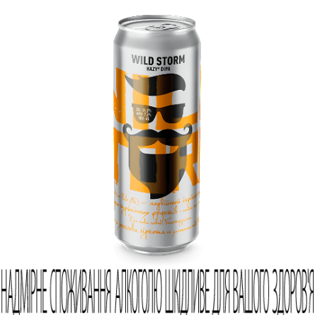 Пиво Beermaster Brewery Wild Storm світле нефільтроване з/б
