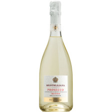 Вино игристое Montelliana Meliora Prosecco Millesimato белое экстра сухое 0.75 л 11% mini slide 1