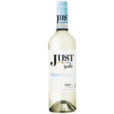 Вино Just Smile Pinot Grigio біле сухе 11,5% 0,75л mini slide 1