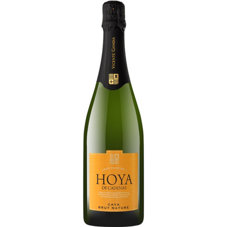 Вино ігристе Hoya de Cadenas Cava Brut Nature біле брют 0.75 л 11.5%