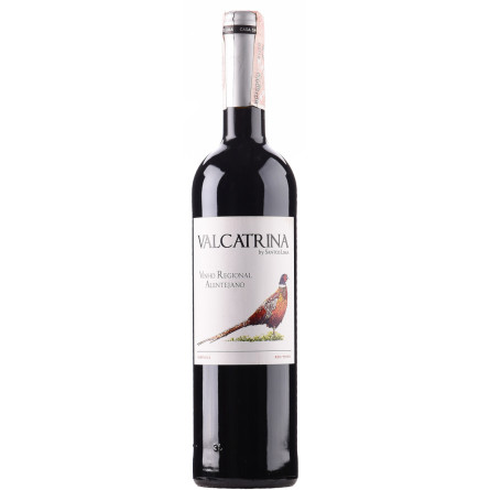 Вино Casa Santos Lima красное сухое Valcatrina 14.5% 0.75 л slide 1