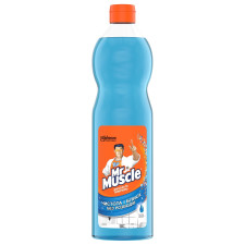 Засіб Mr.Muscle для миття скла та поверхонь зі спиртом запаска 500мл mini slide 1