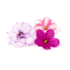 Квіти їстівні mini slide 1