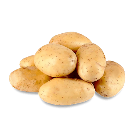 Картопля молода, Єгипет
