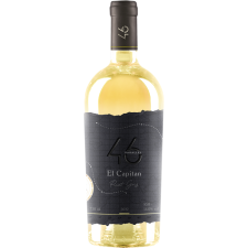Вино 46 Parallel El Capitan Pinot Gris біле сухе 0.75 л mini slide 1