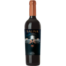 Вино Бобаль, Салина / Bobal, Salina, Bodegas Alceno, красное сухое 0.75л mini slide 1